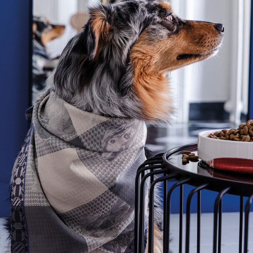 Tea towel Truffes Grey 24"x31" 100% cotton, , hi-res image number 1