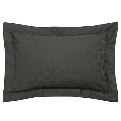 Shams Palacio Cotton,  Shams Palacio Cotton