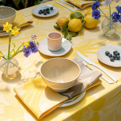 Lot de 2 serviettes La Vie en Vosges Soleil 58x58 100% coton